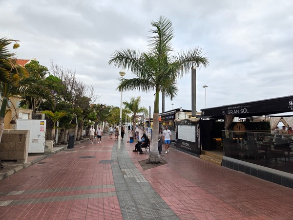 Paseo marítimo Paseo marítimo de Costa Adeje con palmeras, restaurantes y personas caminando en un día nublado.