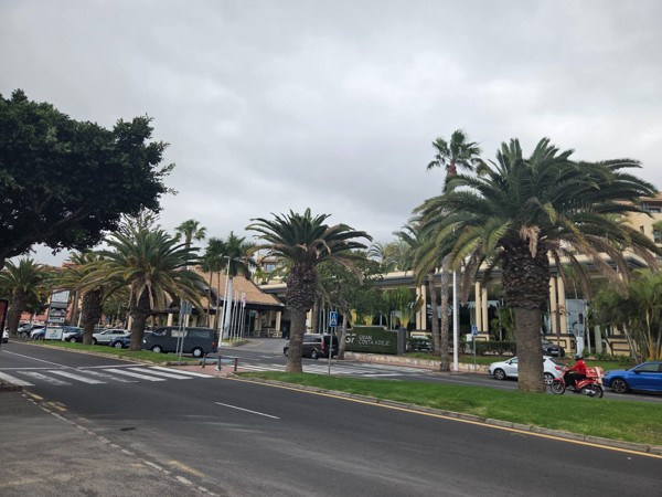 Entrada del hotel GF Gran Costa Adeje con palmeras alineadas junto a la avenida y cielo cubierto.