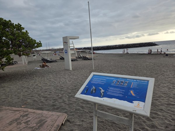 Playa de Torviscas con arena oscura, panel informativo, hamacas y personas disfrutando de la playa junto al mar.